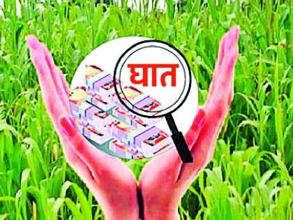 2.36 crores by crop insurance companies | पीक विमा कंपन्याद्वारे २.३६ कोटींचा डल्ला