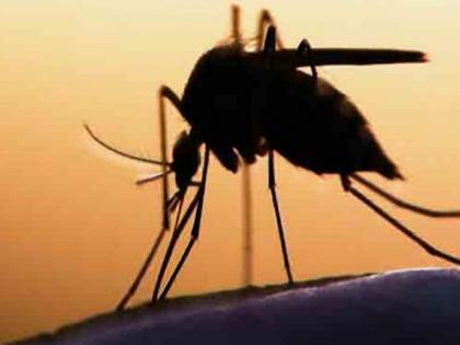 Two dengue patients were found in Beed district in December | बीड जिल्ह्यात डिसेंबरमध्ये आढळले डेंग्यूचे १८ रुग्ण