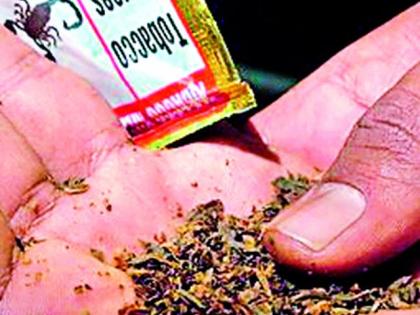 The number of tobacco additives increases in women | महिलांमध्ये वाढतेय तंबाखू सेवानाचे प्रमाण