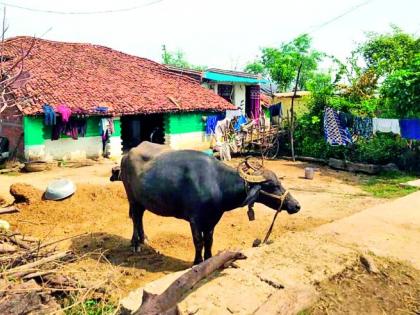 Will the village rise after being carried to Waingang? | वैनगंगेत वाहून गेल्यावर गाव उठविणार काय?