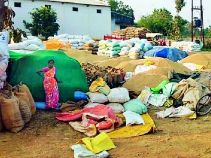 The question of storing purchased paddy forever | खरेदी केलेला धान साठविण्याचा प्रश्न कायमच The question of storing purchased paddy forever | खरेदी केलेला धान साठविण्याचा प्रश्न कायमच