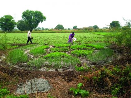 Dnyaneshwari, Mauli Savings Groups creat Garden in Buldhana | ज्ञानेश्वरी, माऊली बचत गटांनी फुलवली परसबाग!