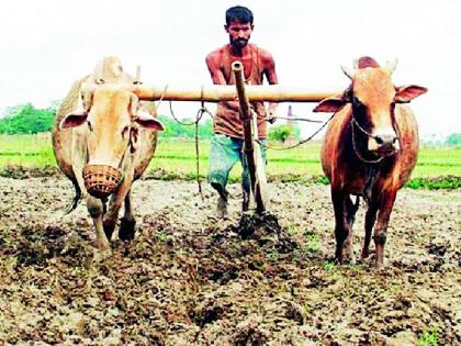 Curved look at the kharif season this year | यंदा खरीप हंगामावर वक्रदृष्टी