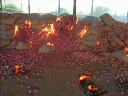 30 pieces of onion were burnt in the fire | धुळ्यात कांद्याच्या ३० गोण्या आगीत भस्मसात