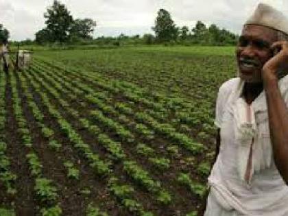 Agricultural Swavalamban scheme is newly implemented | कृषि स्वावलंबन योजना नव्याने कार्यान्वित