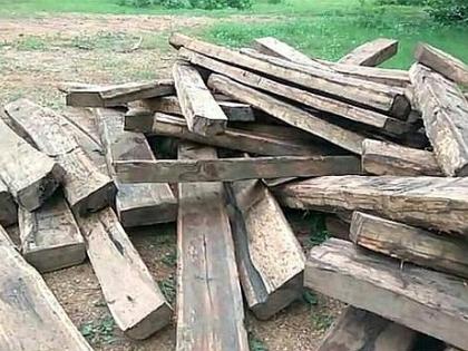 Telangana forest department seized Maharashtra's teak wood | तेलंगणाच्या वन विभागाने जप्त केले महाराष्ट्रातील सागवान