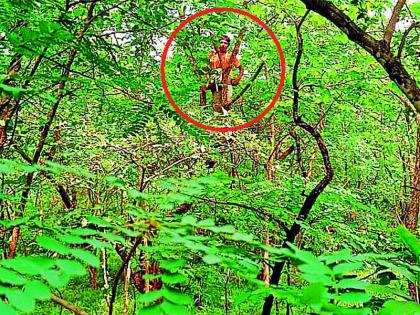 When he saw the tiger coming, he climbed a tree and saved his life | वाघाला येताना पाहताच त्याने झाडावर चढून वाचवले प्राण