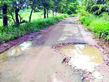 The plight of the Tiroda-Sakoli road | तिरोडा-साकोली रस्त्याची दुर्दशा