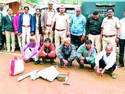 Chitale huntsman arrested five accused | चितळाची शिकार करणारे पाच आरोपी पकडले