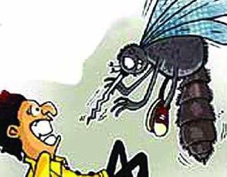  Dengue is always in Hingoli district | हिंगोली जिल्ह्यात डेंग्यूचे थैमान कायमच