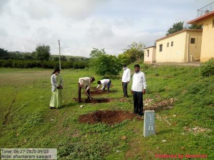 Teachers and staff dug pits for tree planting in Dongargaon Vidyalaya | डोंगरगाव विदयालयात वृक्षारोपणासाठी शिक्षक अन् कर्मचाऱ्यांनी खोदले खड्डे