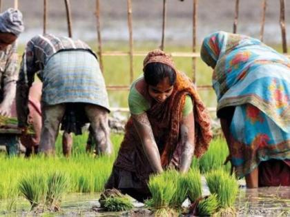 Farmers locked down for kharif season ... | खरीप हंगामासाठी शेतकऱ्यांना लॉकडाऊन पावला...