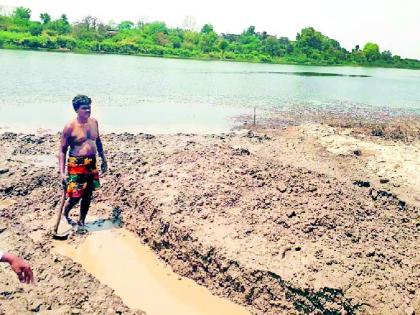 Wardha river bed dry; Dorm | वर्धा नदीपात्राला कोरड; डोहानेही गाठला तळ