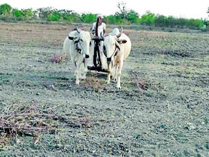 Plans for planning now! | आता नियोजन खरिपाचे!