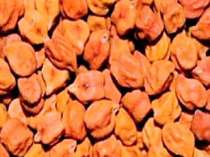 When will the moment of government gram purchase come? | शासकीय हरभरा खरेदीचा मुहूर्त केव्हा निघणार? When will the moment of government gram purchase come? | शासकीय हरभरा खरेदीचा मुहूर्त केव्हा निघणार?