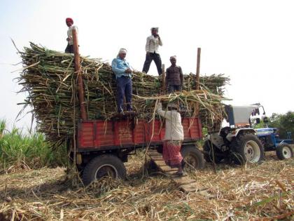 Sugar factories in western Maharashtra on sugarcane in Vidarbha | पश्चिम महाराष्ट्रातील साखर कारखाने विदर्भातील उसावर