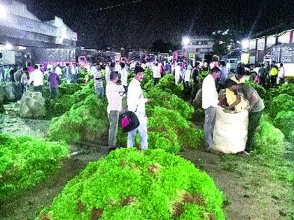 In the Nashik Agriculture Produce Market Committee, | नाशिक कृषी उत्पन्न बाजार समितीत कोथिंबिरीला मातीमोल भाव