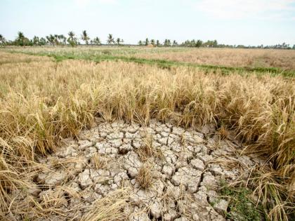 Marathwada, Vidarbha's reservoir has reached the bottom | मराठवाडा, विदर्भाच्या जलाशयाने तळ गाठले Marathwada, Vidarbha's reservoir has reached the bottom | मराठवाडा, विदर्भाच्या जलाशयाने तळ गाठले