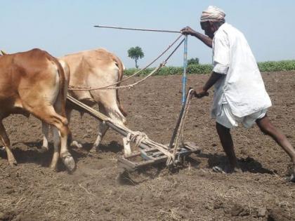 Assistance to farmers in first phase in Nagpur district | नागपूर जिल्ह्यात पहिल्या टप्प्यात ३०,२१० शेतकऱ्यांना मदत