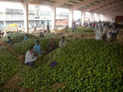 Will the market committees became modern ? Central Government Ordinance | बाजार समित्या कात टाकणार का? केंद्र शासनाचा अध्यादेश