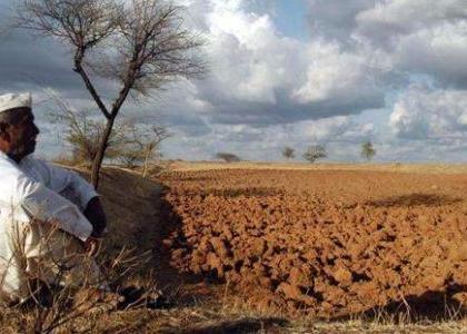 Farmer commits suicide at Uti in Yavatmal district | यवतमाळ जिल्ह्यातील उटी येथे शेतकऱ्याची आत्महत्या