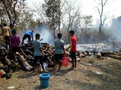 Gadchiroli students get control over fire; The school building is safe | गडचिरोलीत विद्यार्थ्यांनी तत्परता दाखवून वणवा विझवला; शाळेची इमारत सुरक्षित