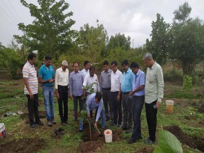 Plantation of Sandalwood MIDC | वाळूज एमआयडीसीत वृक्षारोपण