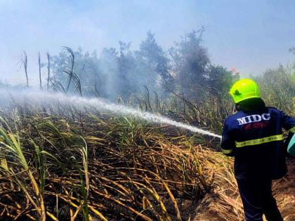 Burning sugarcane half acre | दीड एकरवरील ऊस जळून खाक