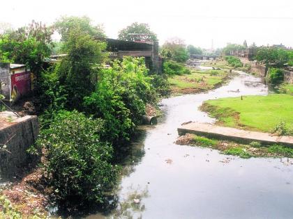 Waganga polluted by sewage | नागनदीच्या सांडपाण्याने वैनगंगा प्रदूषित