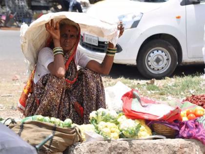 Chandrapur's highest temperature in the state 48 degrees Celsius | चंद्रपूरचे तापमान राज्यात सर्वाधिक; ४८ अंश सेल्सिअस