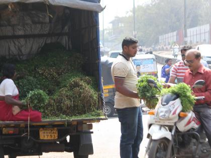 Sugar price falling, fenugreek, and cottage less than 10 rupees for three rupees: Kanthibir, tomatoes also have a mortar rate | साखरेच्या दरात घसरण, मेथी, पोकळा १0 रुपयाला तीन पेंढ्या : कोंथिबीर, टोमॅटोलाही मातीमोल दर