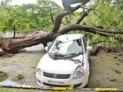 The trees fell; Water was found in six injured homes | झाडे पडली; सहा जखमी  घरात पाणी शिरले