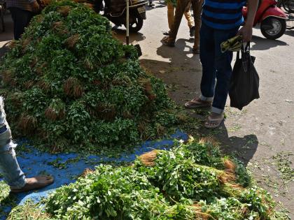 Fenugreek is plentiful! Three rupees straw in the wholesale market: Pulses market is cold | मेथी झाली उदंड ! घाऊक बाजारात तीन रुपये पेंढी