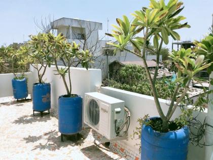 Control of temperature by placing 25 trees on the roof | छतावर चाफ्याची २५ झाडे लावून तापमानाचे नियंत्रण