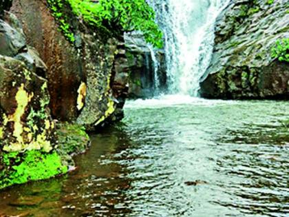 Falls in the Paradise in Vidarbha | विदर्भाच्या नंदनवनात शेकडो फूट उंचावरून कोसळू लागले धबधबे