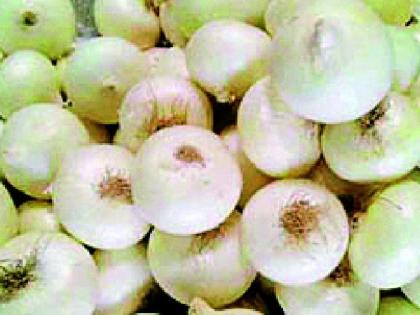 Hundreds of onions will reach Diwali | दिवाळीत कांदा गाठणार शंभरी Hundreds of onions will reach Diwali | दिवाळीत कांदा गाठणार शंभरी