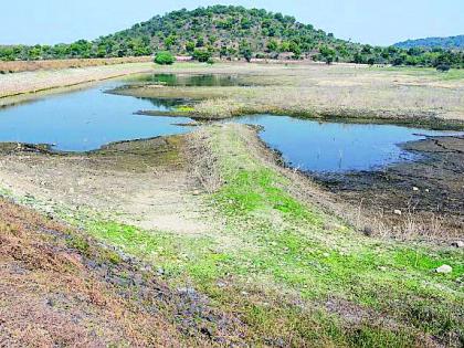 University lake dry before summer | विद्यापीठाचा तलाव उन्हाळ्यापूर्वीच कोरडा