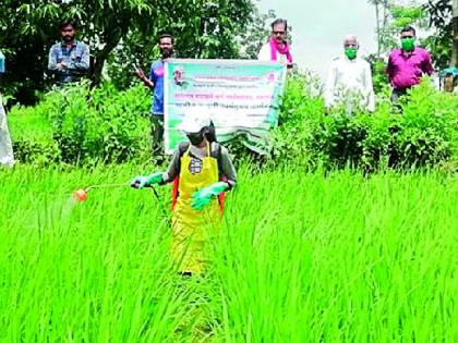 Take proper care when spraying pesticides | कीटकनाशकांची फवारणी करताना योग्य ती काळजी घ्या