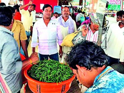 BTB gets vegetable producers sweaty prices | ‘बीटीबी’ने भाजी उत्पादकांना मिळते घामाचे दाम