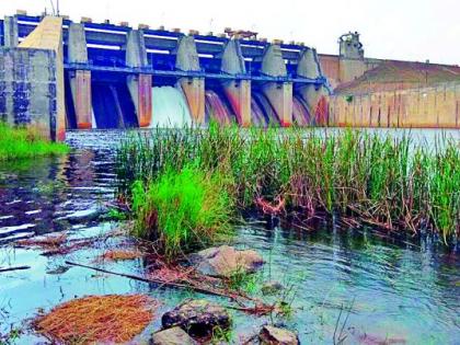 Waterfall from Bavanthadi dam | बावनथडी धरणातून पाण्याचा विसर्ग