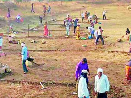 7 thousand laborers in Rohayo's work in the original taluka | मूल तालुक्यात रोहयोच्या कामांवर राबतात ७ हजार मजूर