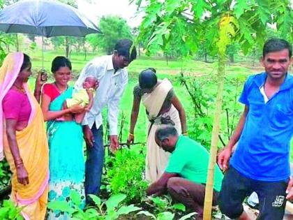 Tree plantation in joy | मुलगी झाल्याच्या आनंदात वृक्षलागवड