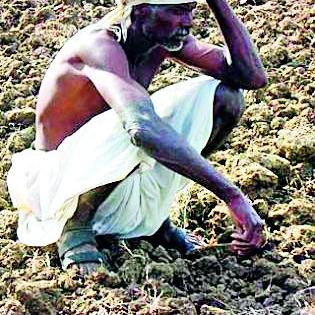 Havild farming farmers scarcely thump | हवालदिल शेतकरी झिजवतो बँकांचे उंबरठे