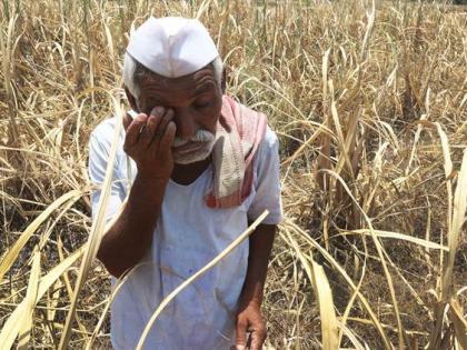 Waiting for payment to the moog-producing farmers | मूग उत्पादक शेतकऱ्यांना पेमेंटची प्रतीक्षा 