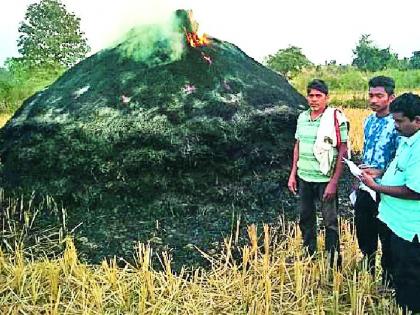 Due to the burning of paddy | धान पुंजणे जळून खाक