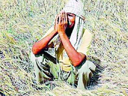 Seven thousand farmers who were affected were waiting for help | नुकसानग्रस्त सात हजार शेतकऱ्यांना मदतीची प्रतीक्षा