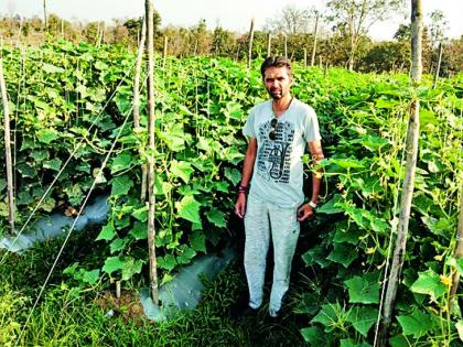 10 lakhs generated from vegetable production | भाजीपाल्याच्या उत्पादनातून घेतले १० लाखांचे उत्पन्न