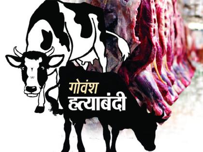 Special campaign to prevent cattle slaughter | गोवंश हत्या रोखण्यासाठी विशेष मोहीम