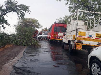 Monsoon is coming... | मान्सूनची चाहूल...