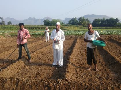 Long time to put onion seed in Khamkhheda area | खामखेडा परिसरात कांद्याच्या बियाणे टाकण्याची लगबग